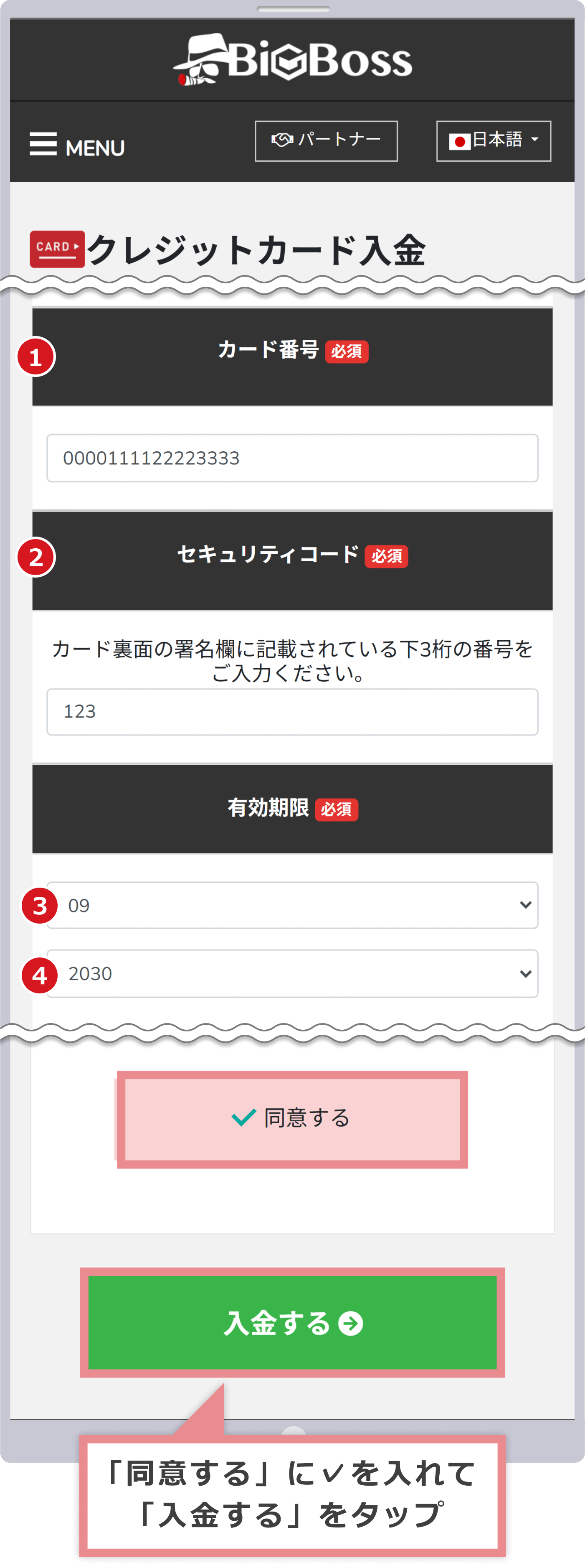 カード情報の入力